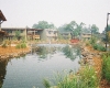 W9-Gaia Hotel Anderson landscaping lake.jpg